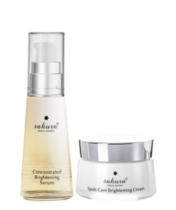 Bo Duong Da Trang Sang Ngan Ngua Sam Nam Sakura